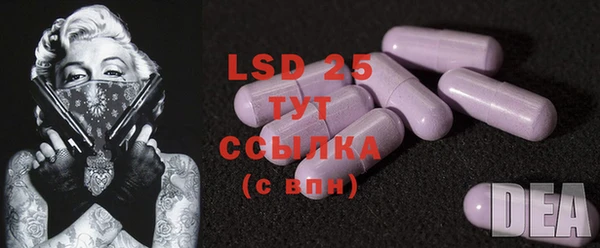 ГАЛЛЮЦИНОГЕННЫЕ ГРИБЫ Аркадак