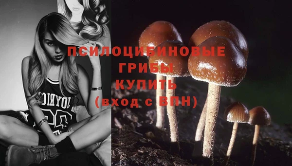 таблы Беломорск